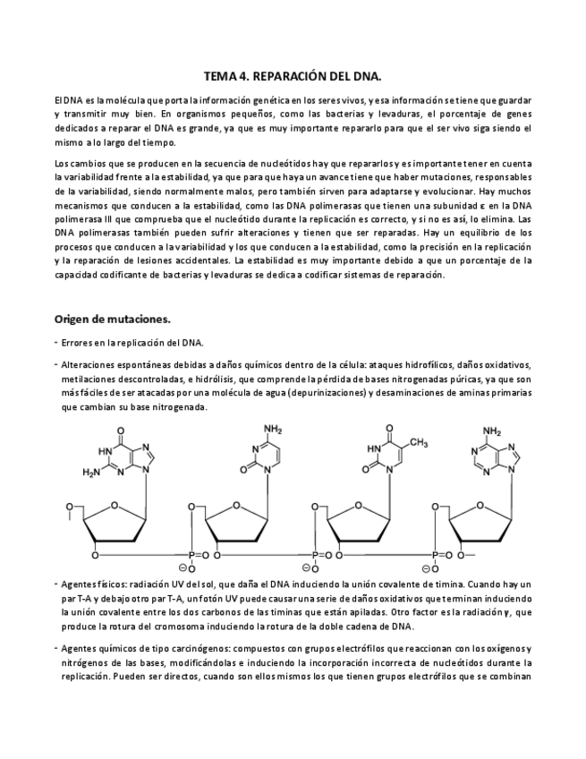 Miniatura del documento TEMA-4.pdf