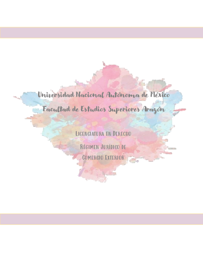 Miniatura del documento ADUANAS.pdf