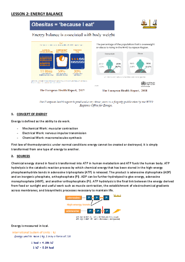 Miniatura del documento LESSON-2.pdf