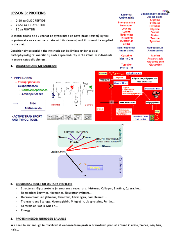 Miniatura del documento LESSON-3.pdf