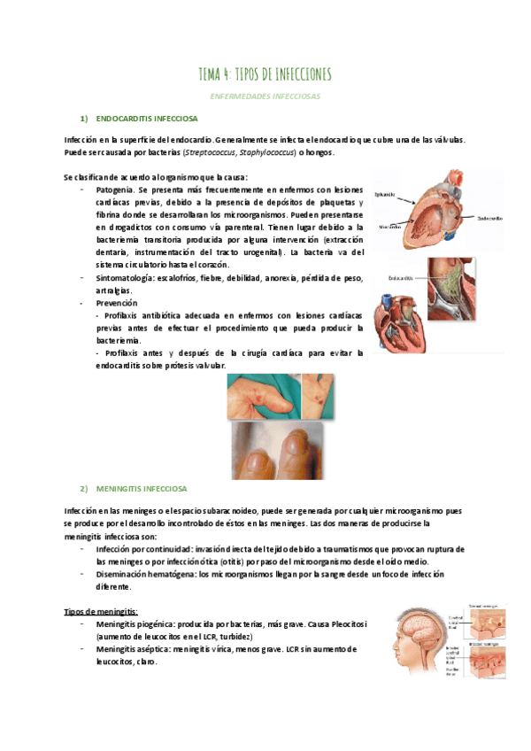 Miniatura del documento TEMA-4-TIPOS-DE-INFECCIONES.pdf