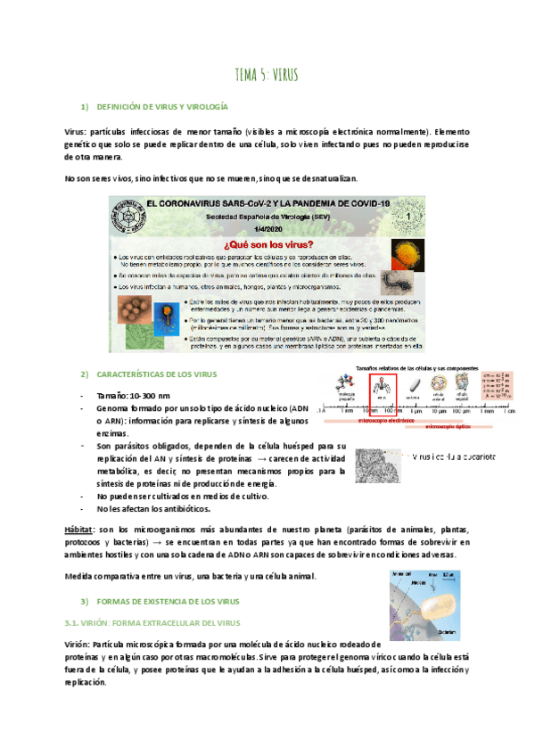Miniatura del documento TEMA-5-VIRUS.pdf