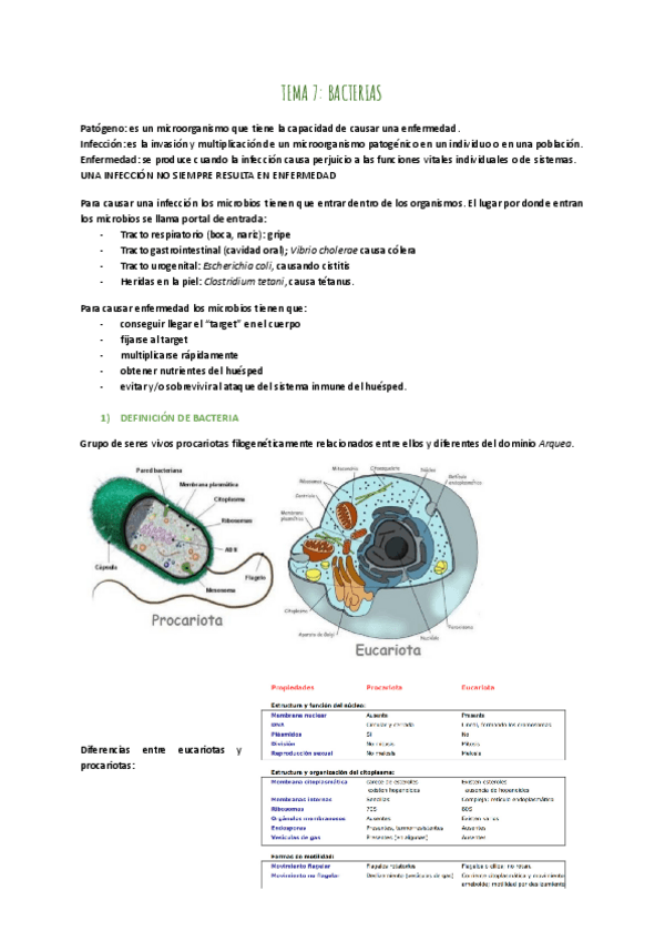 Miniatura del documento TEMA-7-BACTERIAS.pdf