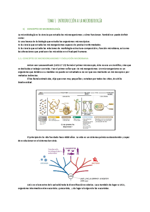 Miniatura del documento TEMA-1-INTRODUCCIO-A-LA-MICROBIOLOGIA.pdf