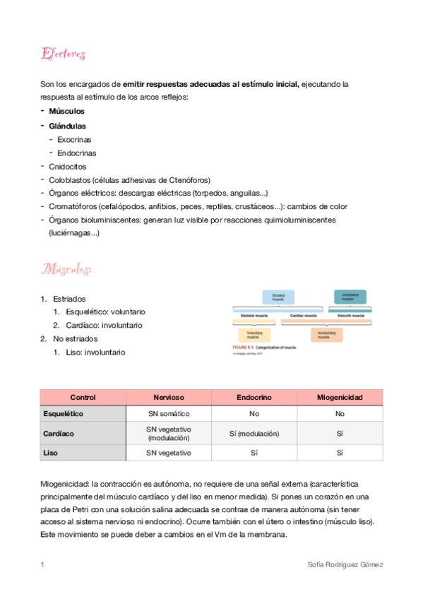 Miniatura del documento 4-Efectores-musculo.pdf
