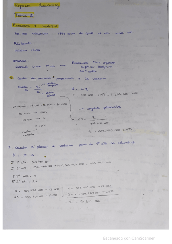 Miniatura del documento TEMA-2-marketing.pdf
