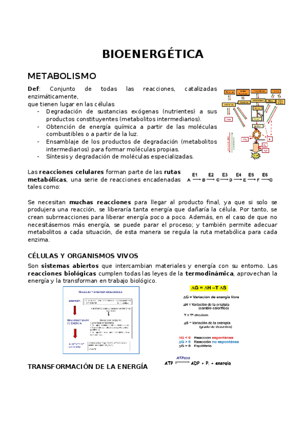 Miniatura del documento BQ-Paula-Rubia-Bioenergetica.docx