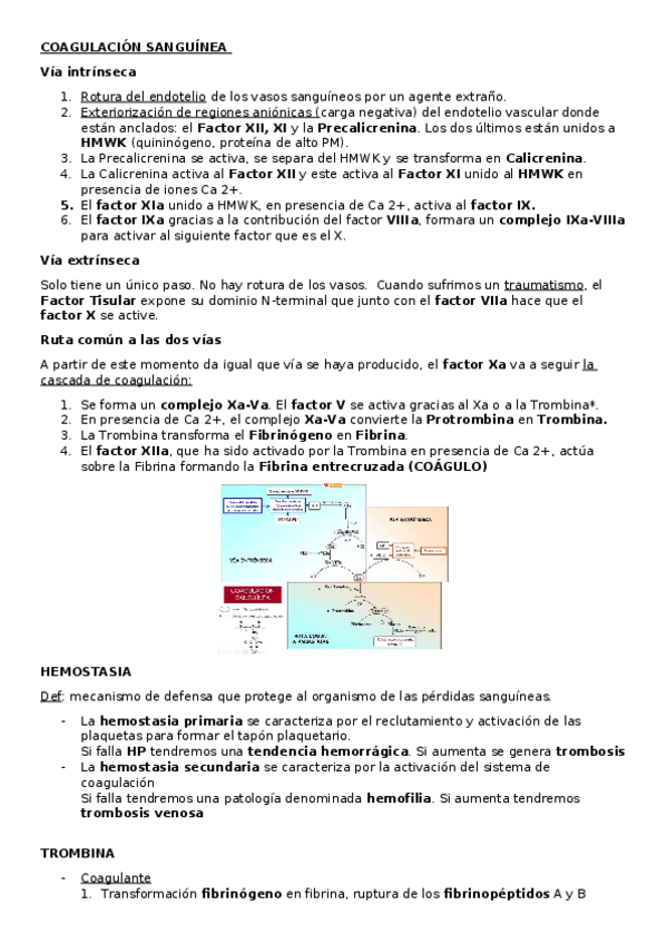 Miniatura del documento BQ-Paula-Rubia-Coagulacion.docx