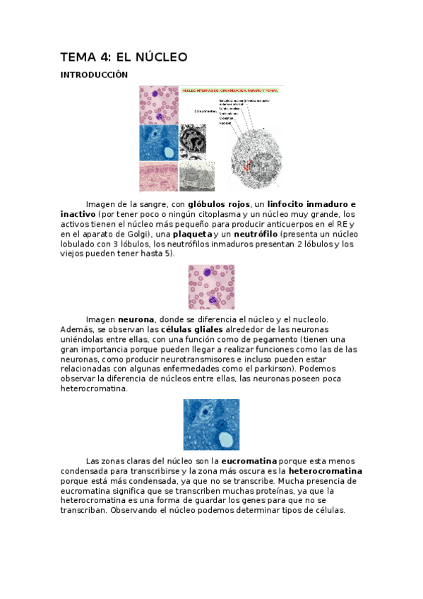 Miniatura del documento BIOCEL-T4.docx