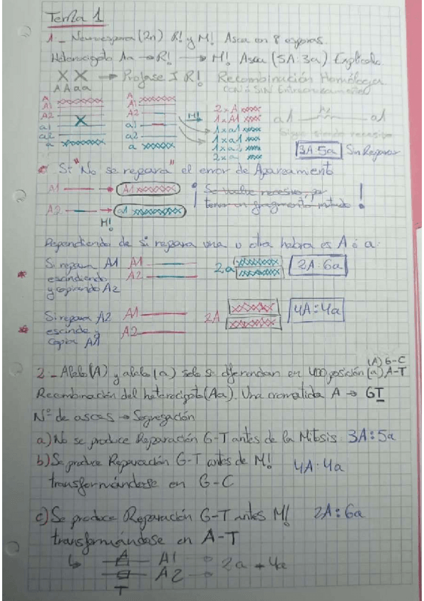 Miniatura del documento Coleccion-Problemas-IG2021RESUELTOSCORREGIDOSIngenieria-genetica.pdf