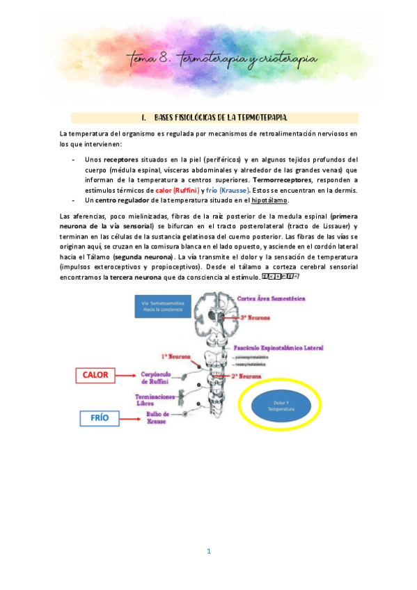 Miniatura del documento Tema-8-MASO.pdf
