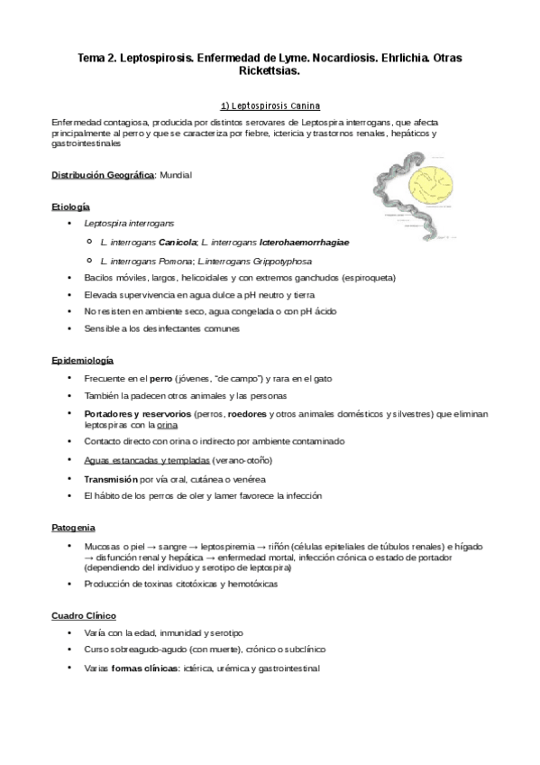 Miniatura del documento Tema-2-Leptospirosis.pdf