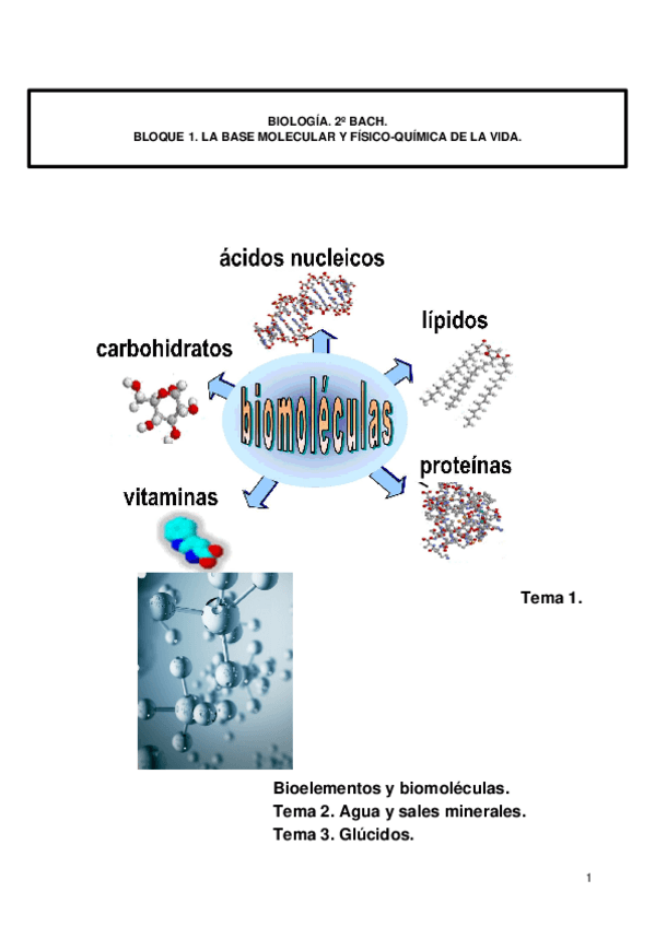 Miniatura del documento BLOQUE-1.docx