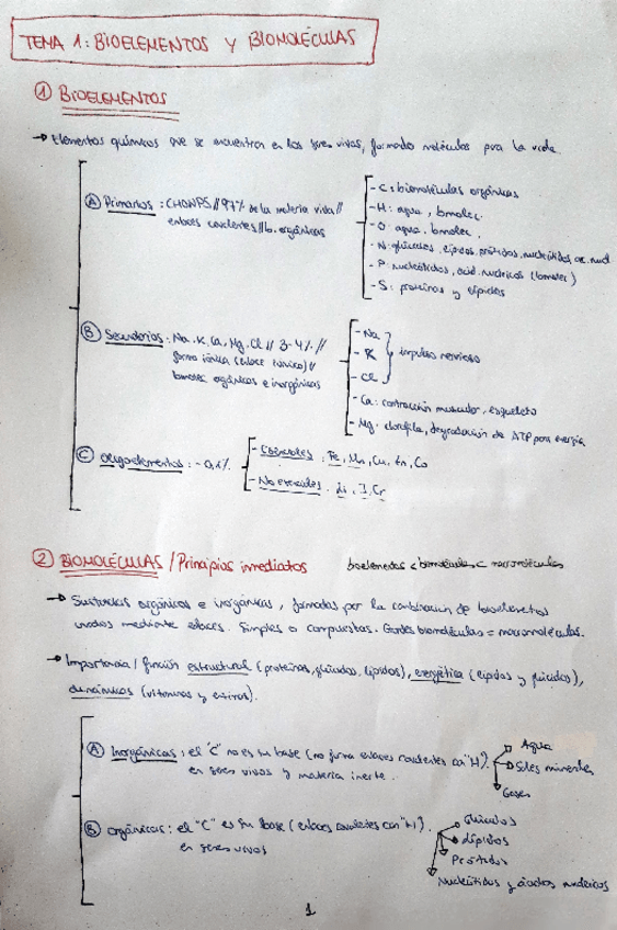 Miniatura del documento TEMA-1-BIOELEMENTOS-Y-BIOMOLECULAS.pdf