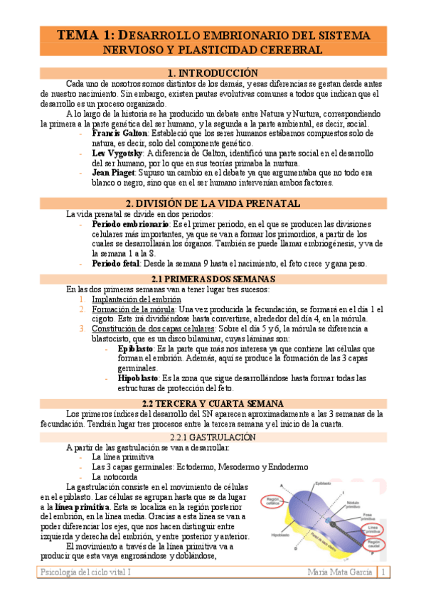 Miniatura del documento TEMA-1.pdf