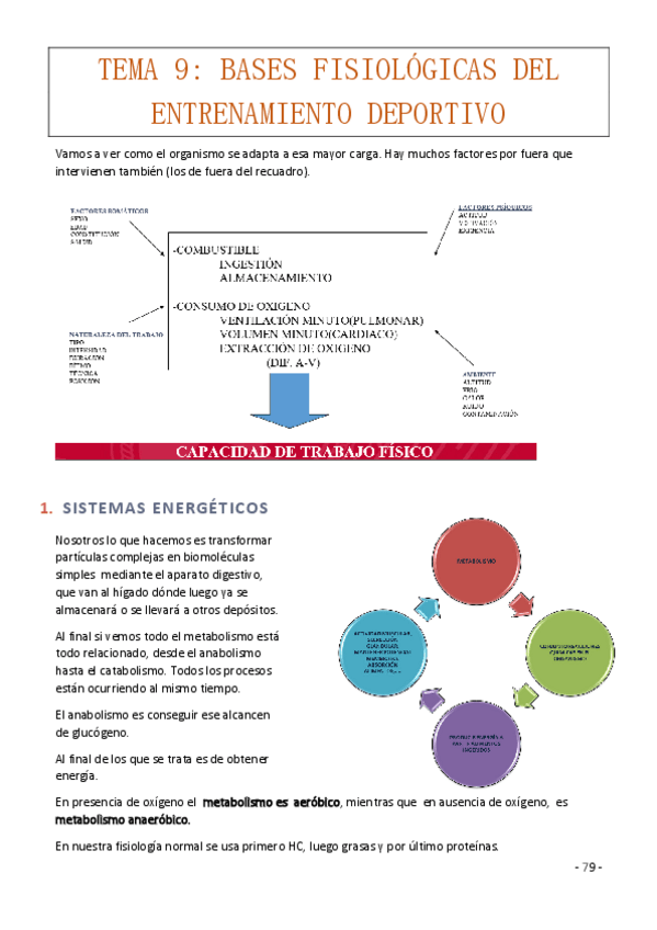 Miniatura del documento Tema-9-.pdf