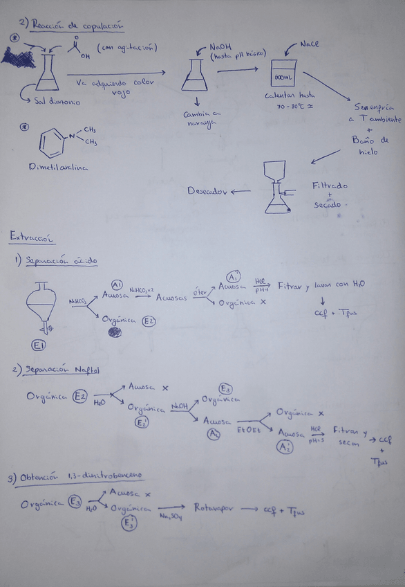 Miniatura del documento IMG_20170523_184657[1].jpg
