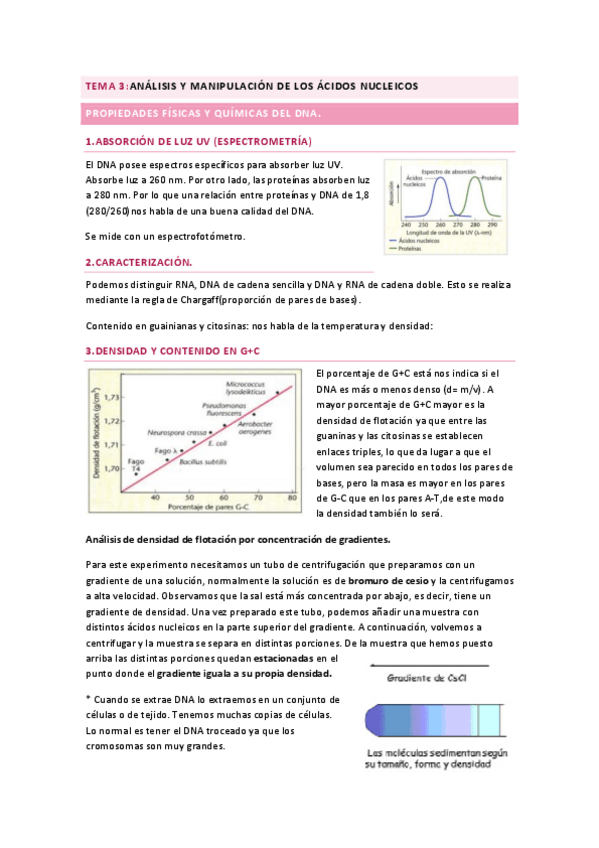 Miniatura del documento Tema-3.pdf