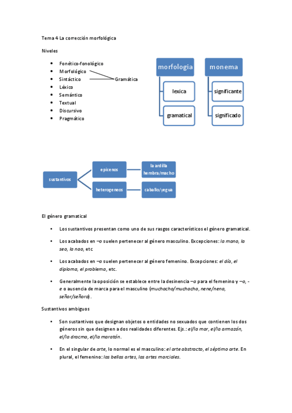 Miniatura del documento Tema 4 La corrección morfológica.pdf