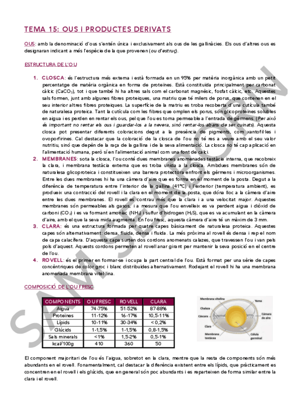 Miniatura del documento TEMA 15 NT.pdf