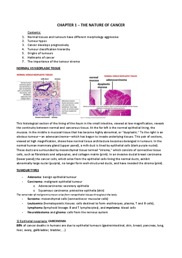 Miniatura del documento MOLECULAR-BIOLOGY-OF-CANCER-Chapter-1-4.pdf