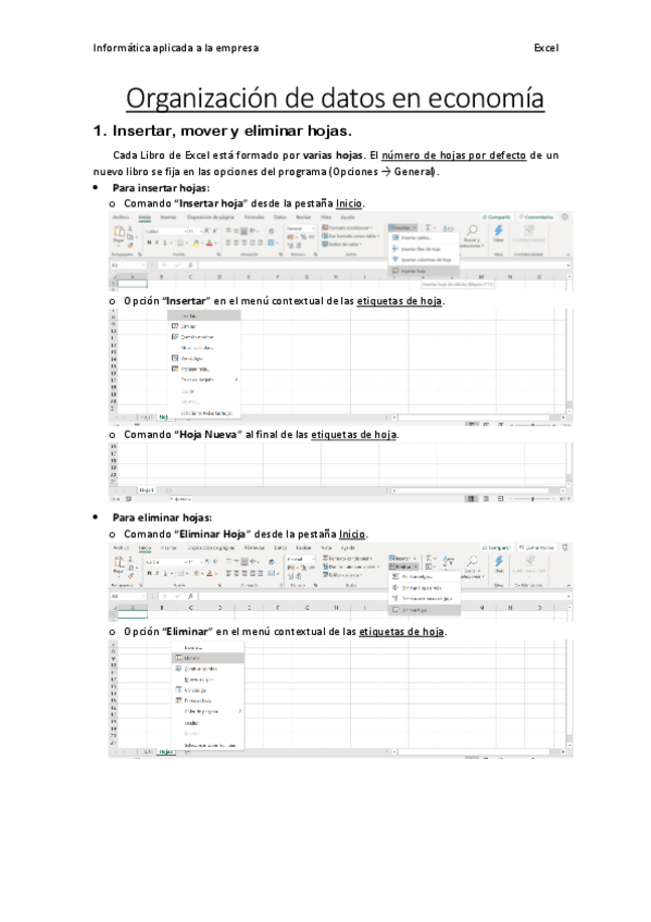 Miniatura del documento Informatica-aplicada-a-la-empresa-Tema-1.pdf
