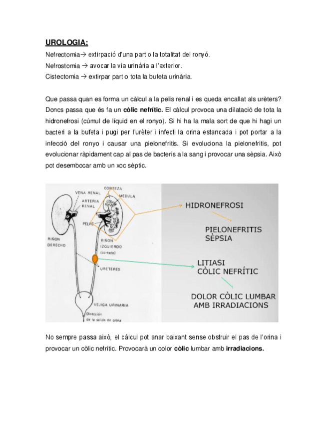 Miniatura del documento UROLOGIA.pdf