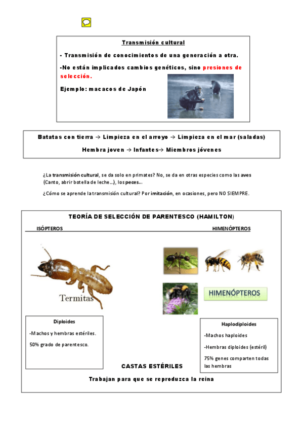 Miniatura del documento TEMA 4 (Recuperado automáticamente).pdf