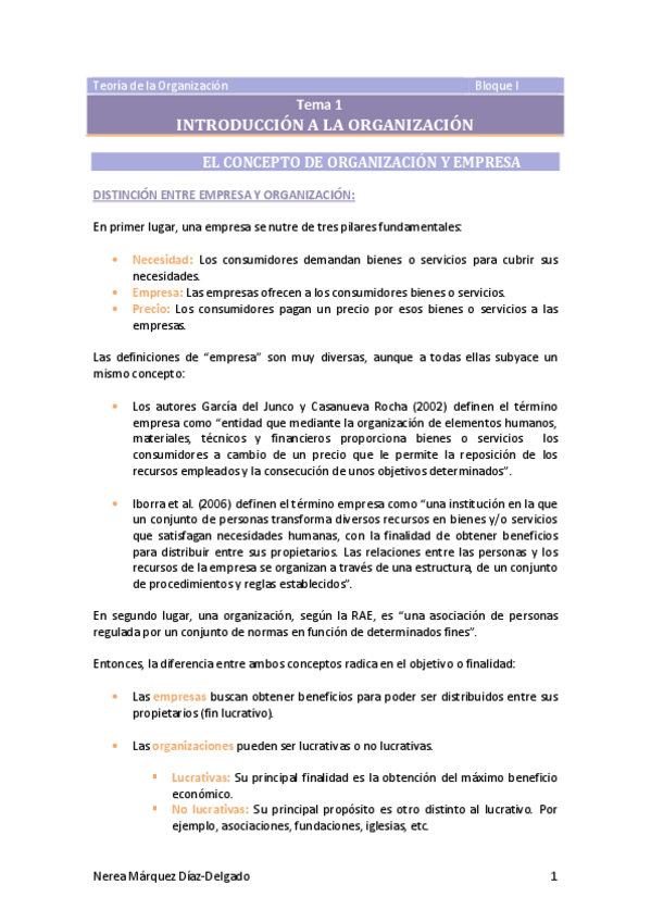 Miniatura del documento Tema-1-Introduccion-a-la-organizacion.pdf