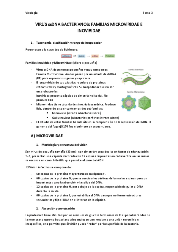 Miniatura del documento virologia-team-3.pdf