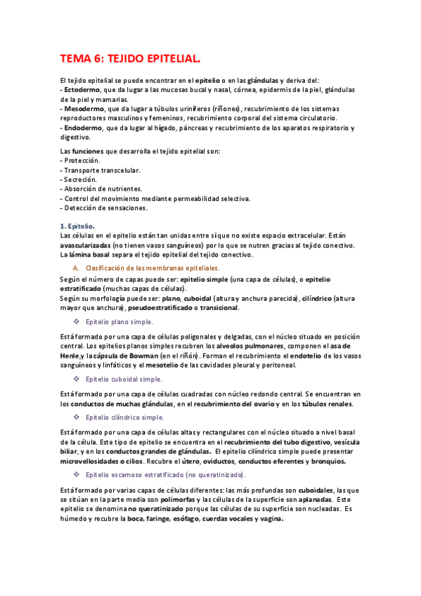 Miniatura del documento Tema-6-organografia.pdf
