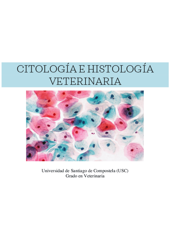 Miniatura del documento Apuntes-citologia-e-histologia.pdf