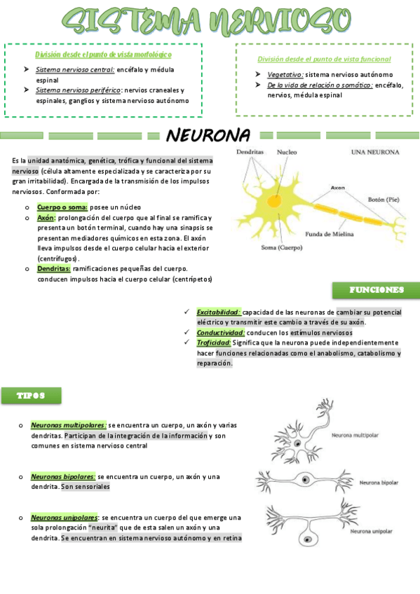 Miniatura del documento SNC.pdf
