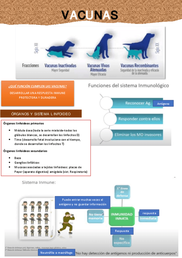 Miniatura del documento Resumen-vacunas.pdf