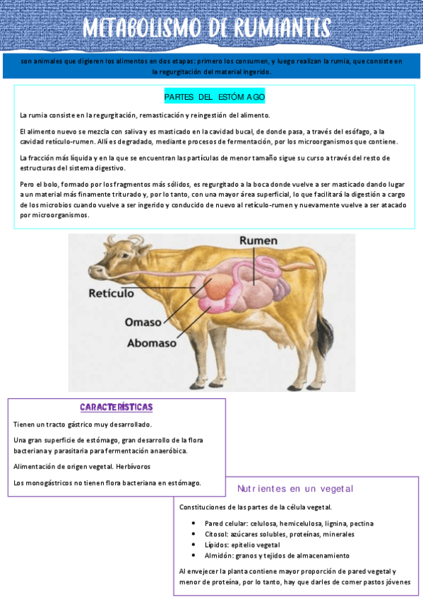 Miniatura del documento metabolismo-de-rumiantes.pdf