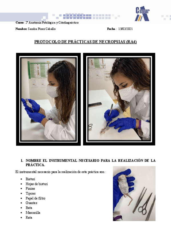 Miniatura del documento NECROPSIAS-Practica-Protocolo-Autopsia-Rata.pdf