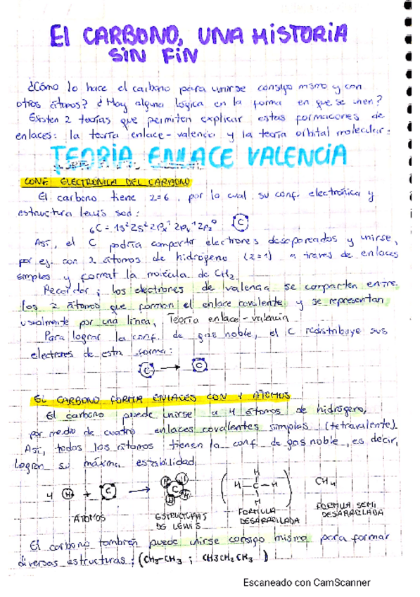 Miniatura del documento El-carbono.pdf