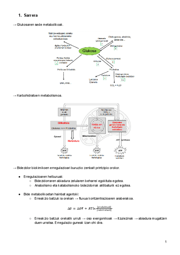 Miniatura del documento 4.pdf