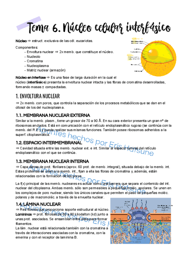 Miniatura del documento Tema-6.pdf