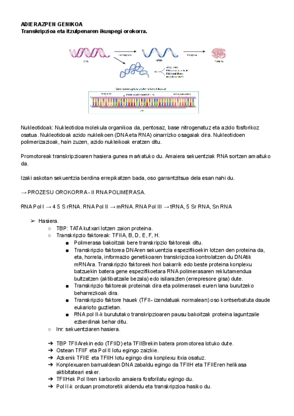 Miniatura del documento 5.pdf