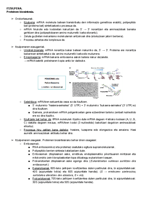 Miniatura del documento 5.pdf