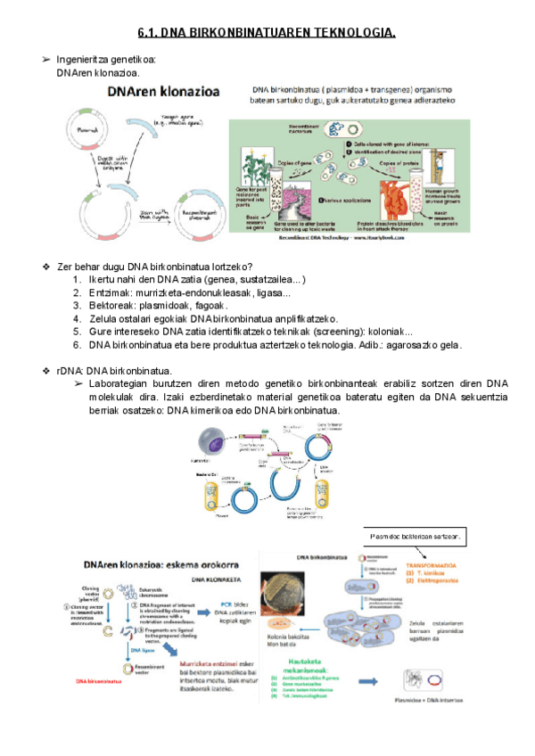 Miniatura del documento 6-Gaia.pdf
