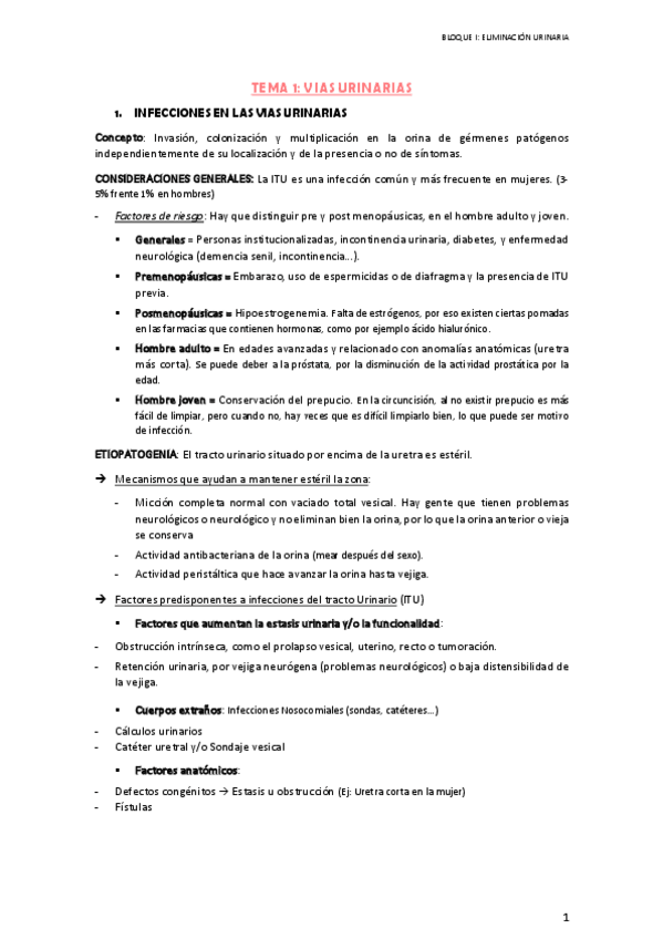 Miniatura del documento Tema-1.pdf