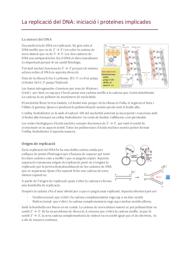 Miniatura del documento 3-Replicacio-DNA-I.pdf
