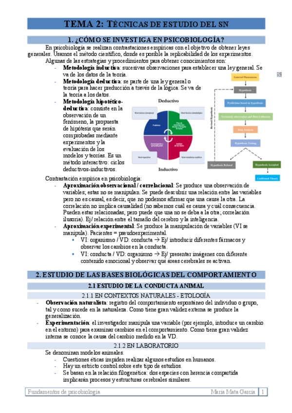 Miniatura del documento TEMA 2. Técnicas de estudio del SN