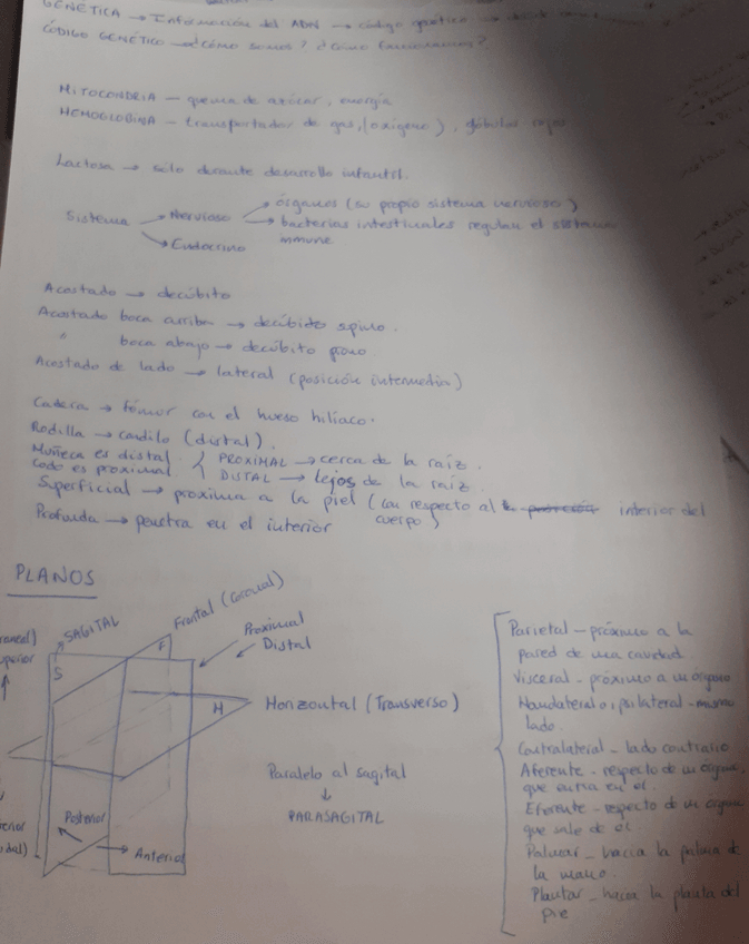 Miniatura del documento 20210925223600.jpg