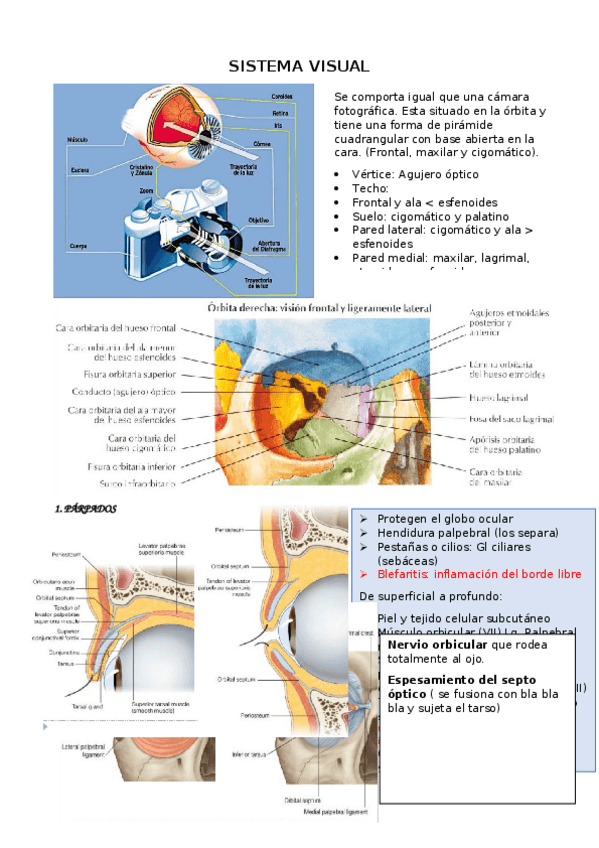 Miniatura del documento SISTEMA-VISUAL.docx