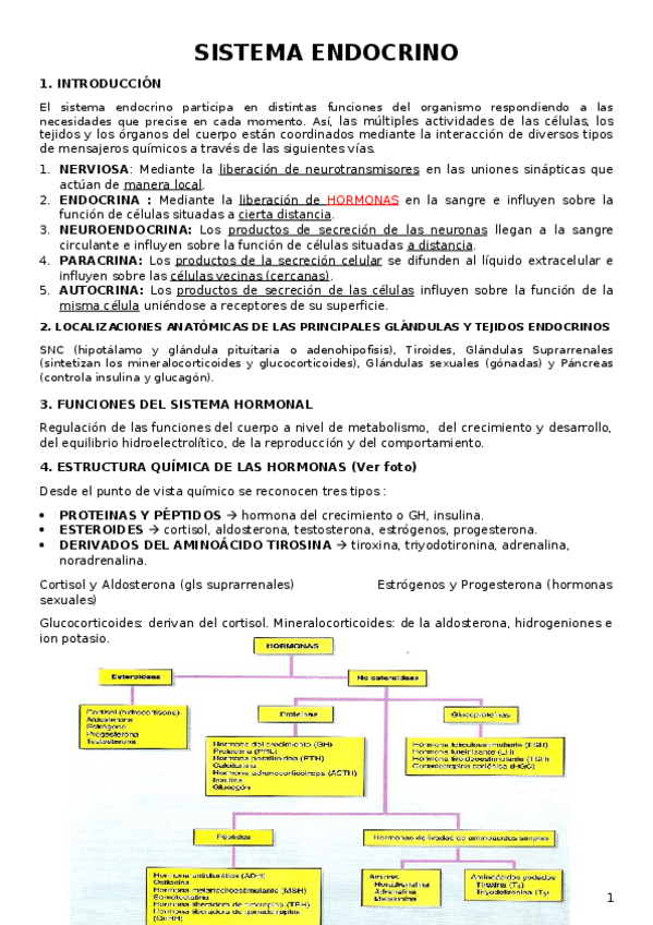 Miniatura del documento Fisio-Endocrino.docx