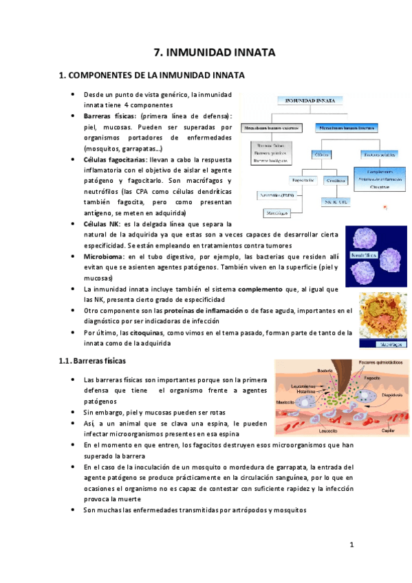 Miniatura del documento 7.pdf