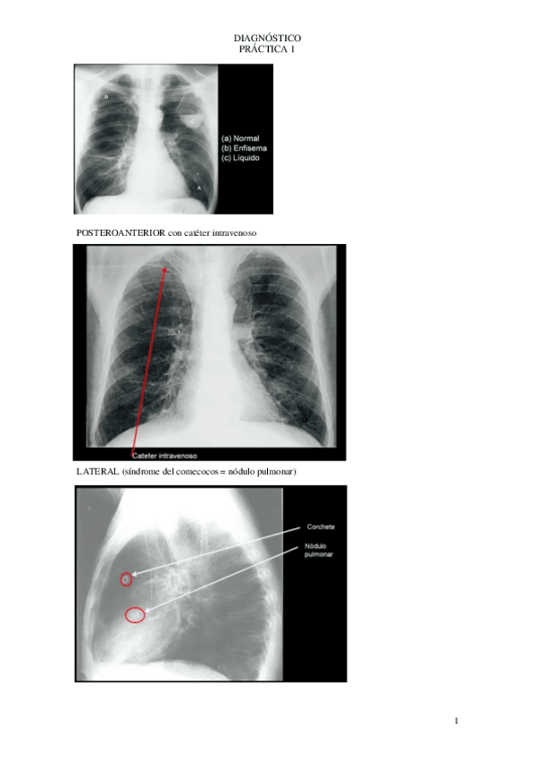 Miniatura del documento 1o-PRACTICAS.pdf
